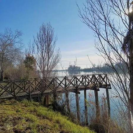Ca L'agulla Nyaraló